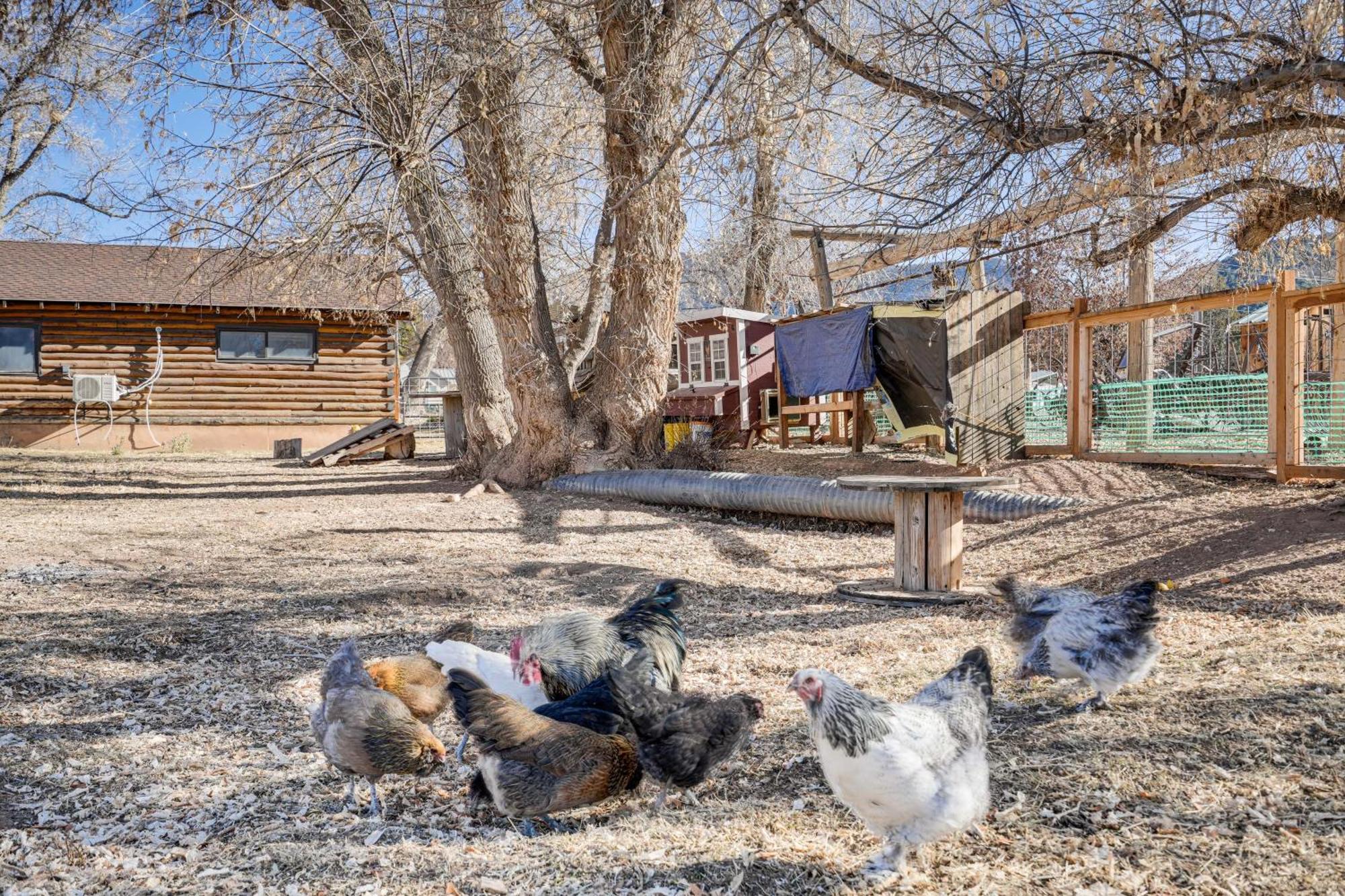Cozy Parowan Studio 12 Mi To Brian Head Resort! Esterno foto
